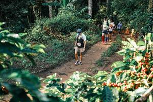 BIB: 
                            <button type="button" onclick="openModal(25841373)" class="btn btn-primary btn-sm float-right btn-popup" data-toggle="modal" data-target=".modal-high-quality">
                        <i class="fas fa-shopping-cart"></i> Add to Cart
                    </button>
                                            <button type="button" onclick="isThisMe(25841373, true)" class="btn btn-success btn-sm float-right btn-popup btn-isme hidden" data-toggle="tooltip" data-placement="bottom" title="นี่คือรูปของคุณใช่ไหม คลิกที่นี่เพื่อเอาเข้าอัลบั้ม">
                        <i class="fas fa-plus"></i> Add to album
                    </button>
                    <button type="button" onclick="isThisMe(25841373, false)" class="btn btn-warning btn-sm float-right btn-popup btn-isnotme hidden">
                        <i class="fas fa-ban"></i> Remove from album
                    </button>